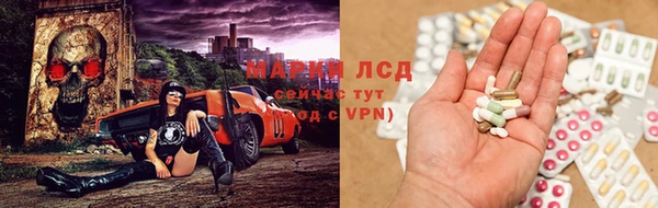 apvp Алексин