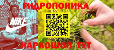 PSILOCYBIN Пугачёв