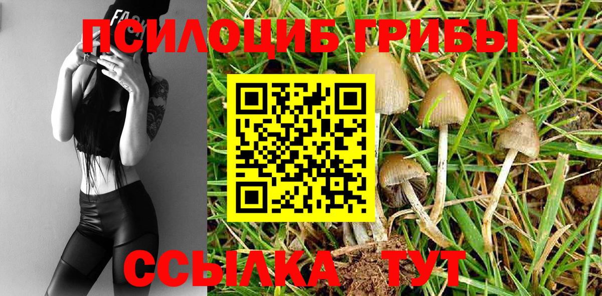 Солнечногорск  Псилоцибиновые грибы GOLDEN TEACHER  Галлюциногенные грибы Psilocybe  Вход с VPN 