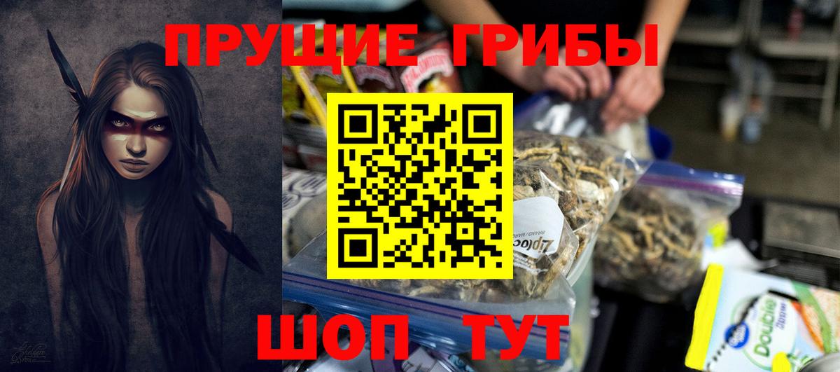 Галлюциногенные грибы GOLDEN TEACHER Солнечногорск
